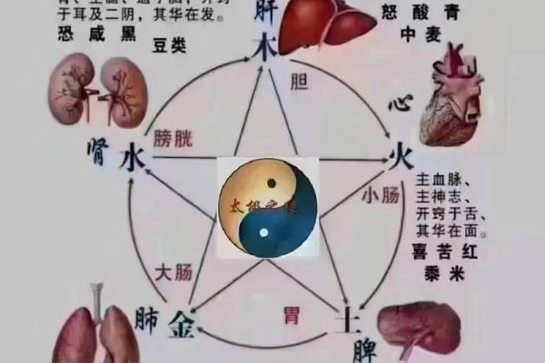 土命人与金命人的相克关系解析及其影响