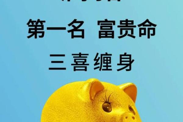 大海水命属猪：佩戴什么能够提高运势与幸福感？