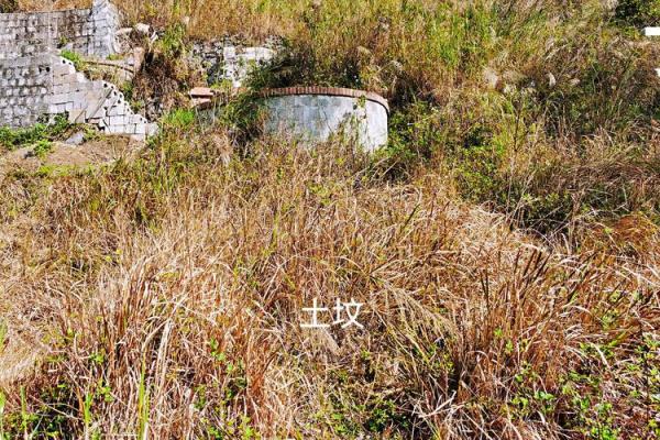 犯命坐山的后果：风水与命理中的隐秘联系