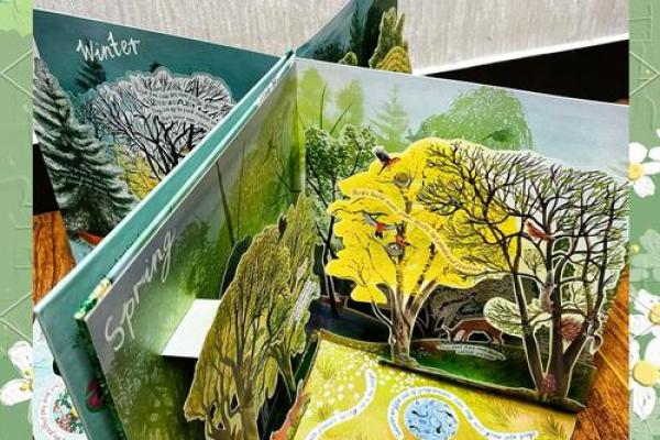 宝宝命运与季节的奥秘：春夏秋冬各有千秋