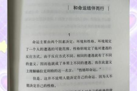 1978年出生：探寻命运与人生的璀璨旅程