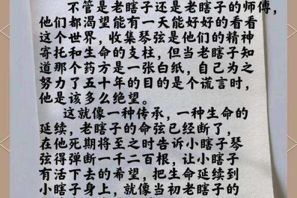 命若琴弦：人生如乐曲，和谐与共鸣的奥秘