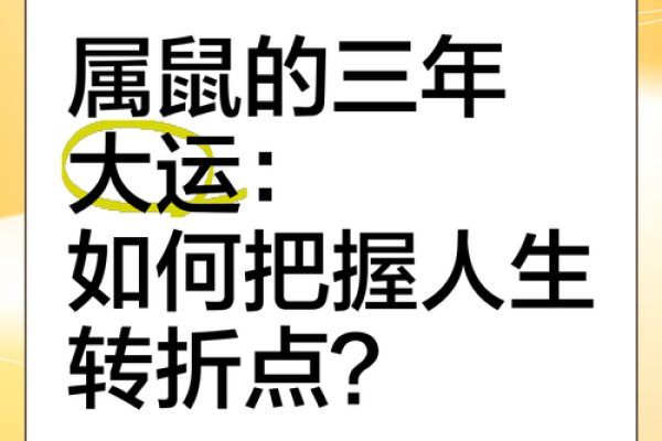 2009年属鼠人的命运揭秘与人生方向探索