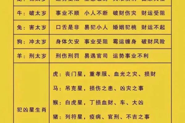 2024年属龙，探索“甲辰年”生肖命运与性格特点的深度分析