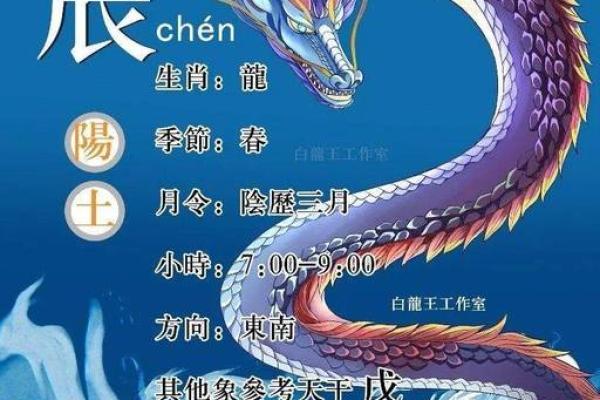 2024年属龙，探索“甲辰年”生肖命运与性格特点的深度分析