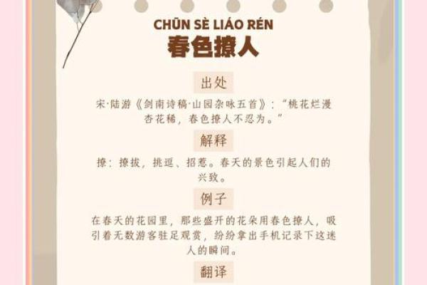 由天由地命运成语的魅力之旅：探索生活的智慧与哲理