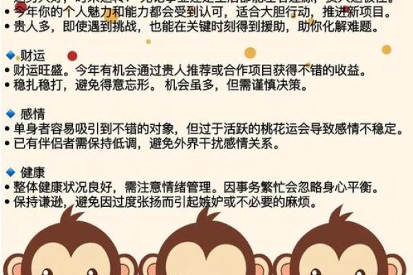 2004年猴宝宝的命运分析：聪明伶俐的人生轨迹与机遇之道