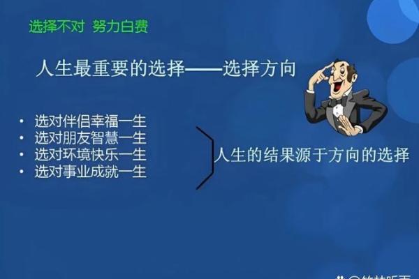 兔金命的最佳职业选择：找到你的理想发展道路