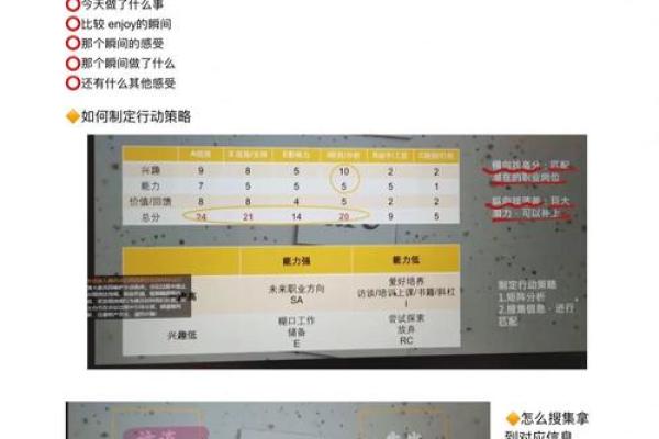 兔金命的最佳职业选择：找到你的理想发展道路