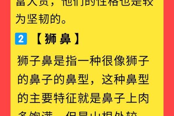 探寻鹰钩鼻与性格命运的奥秘，了解鼻相学的深层次含义