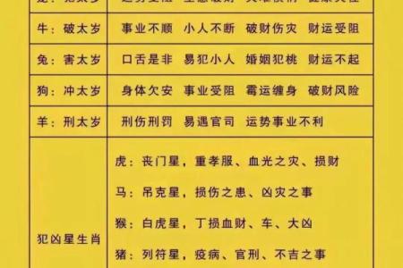 2024年属龙，探索“甲辰年”生肖命运与性格特点的深度分析