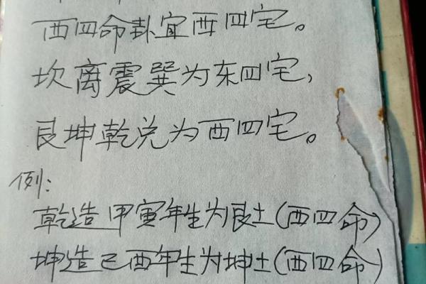 揭开东命西命之谜：网络用语背后的趣味与洞察