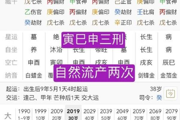 辛巳命的命理解析：害怕哪些命相克，如何化解影响？
