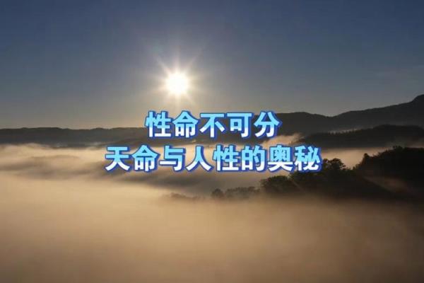 探寻命格中的天命：揭示人生的深层奥秘