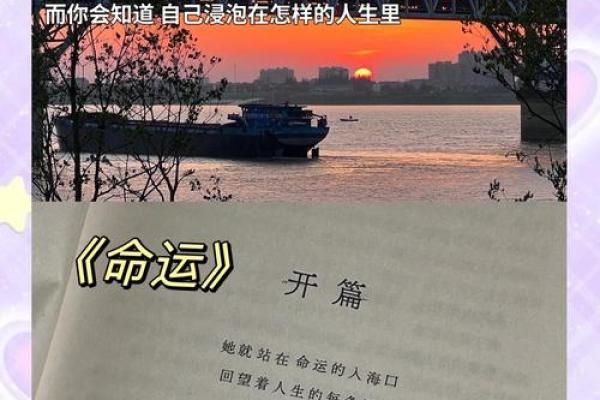 2019年命人解析：如何引导命运，成就美好人生