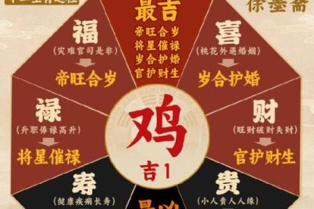 2003年属鸡的命运解析：如何把握人生中的机遇与挑战