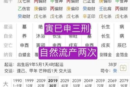 辛巳命的命理解析：害怕哪些命相克，如何化解影响？