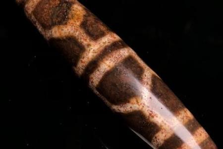 命里缺水？选择适合的天珠来改善运势！