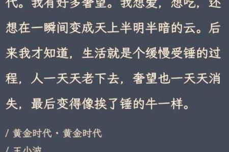 1982年出生的人，他们的命运与生活轨迹