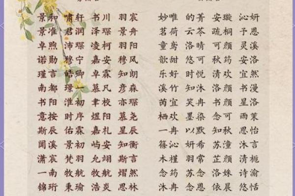 2016火猴命取名指南：为孩子选择一个独特而美好的名字