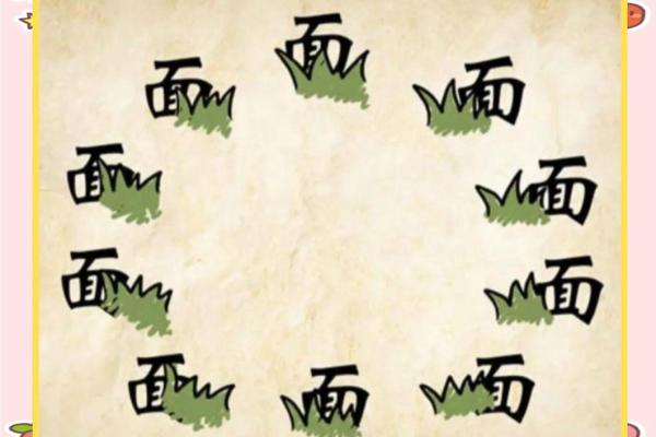 爱好与命运：探寻成语中的智慧与人生启示