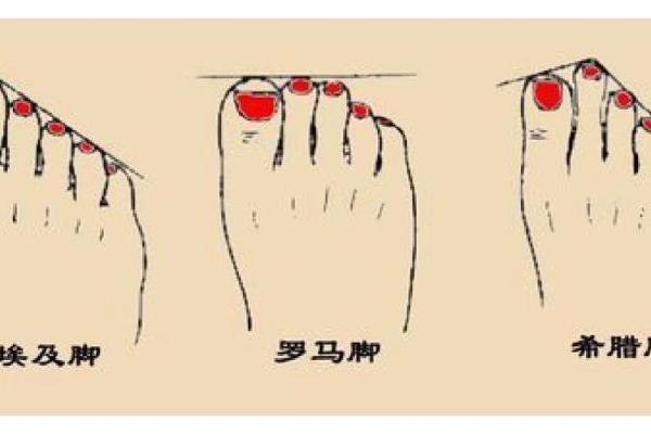 脚型宽大的人生哲学：如何解读脚宽的命格与个性特征