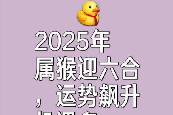 2024年猴子命运解析：幸福与挑战并存的精彩一年