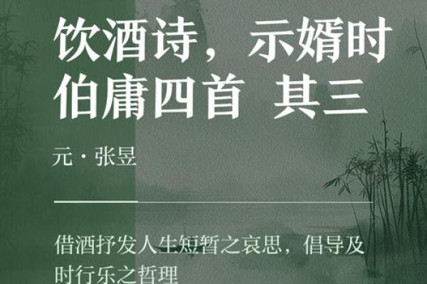 酒中“命”的意义与人生哲学的思索