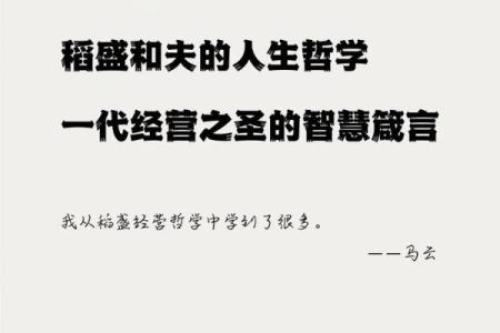揭秘三七唯命背后的生肖智慧与人生哲学