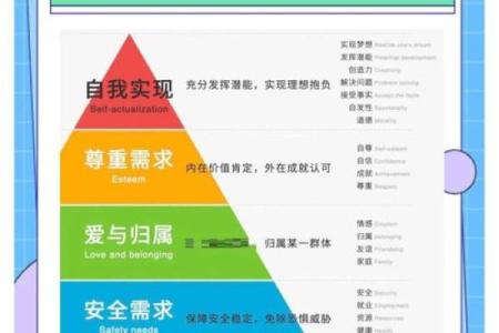 丁克家庭的幸福密码：追求自由与自我实现的生活方式