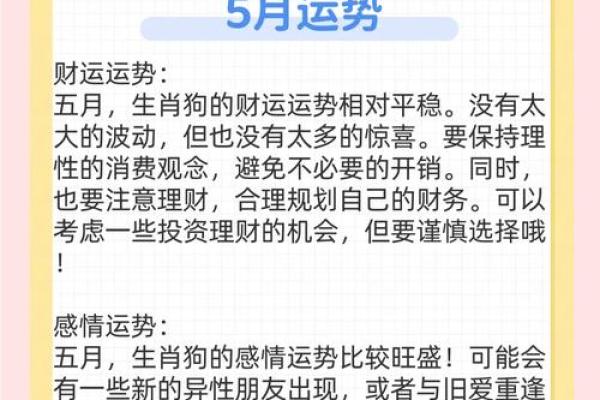 1984年属狗人的命运与个性解读，探寻人生的机遇与挑战！