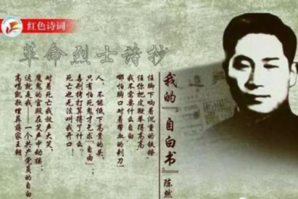 追寻无声的守护：1994年护士的伟大使命与温暖故事