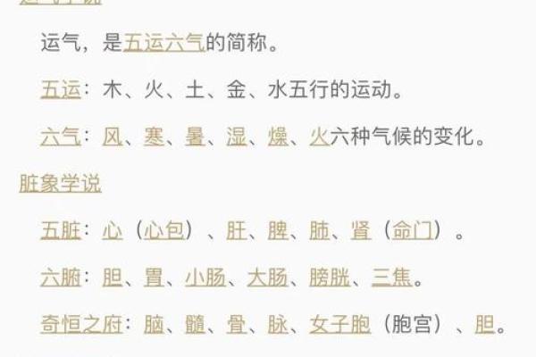 探索2005年男孩命运的奥秘：生肖与五行的影响