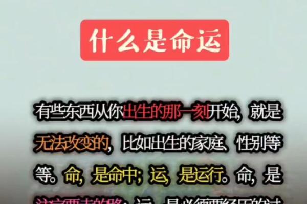 命与运交织，解读生肖背后的秘密与智慧！