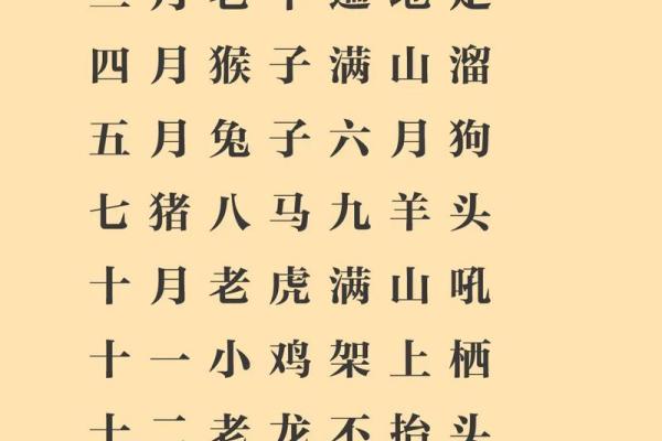 命与运交织，解读生肖背后的秘密与智慧！