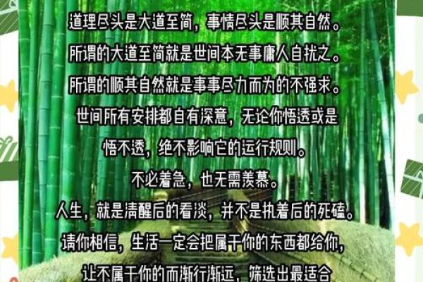 木命成语：探索自然的智慧与哲学之美