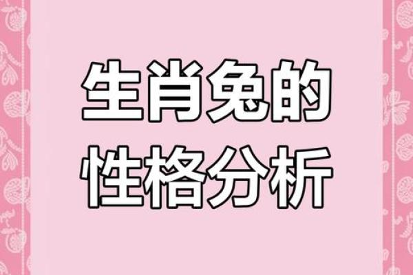 1986年兔年的命运解析：华丽转身的童话人生