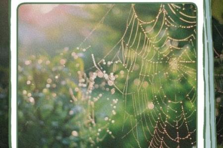 甲木命开店须知：天时地利人和，助你成功经营之道！