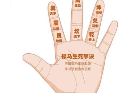 探秘命理反应：如何通过命理解析人生的奇妙轨迹