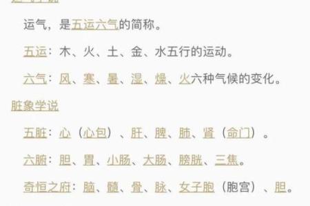 探索2005年男孩命运的奥秘：生肖与五行的影响