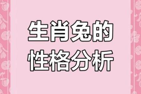 1986年兔年的命运解析：华丽转身的童话人生