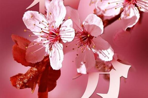 探索淞花命：命理视角下的新篇章与新启示