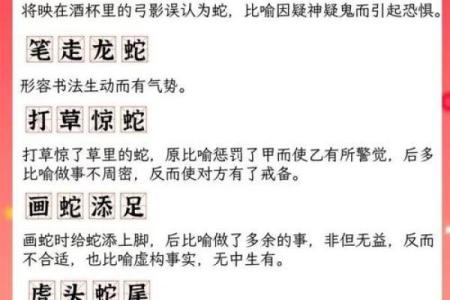 探寻蛇年出生者：2001年命格与人生智慧的深度解读