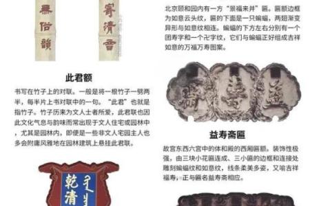 探秘木狗之命与沙中土命的神秘内涵与深刻意义