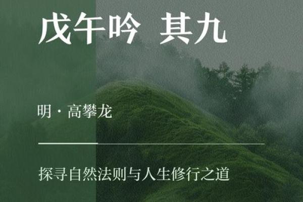 探索风水命理学的奥秘：自然与人生的和谐之道