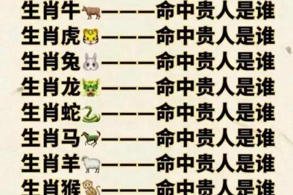 金蛇命与属相之缘：最佳搭配与人生指南