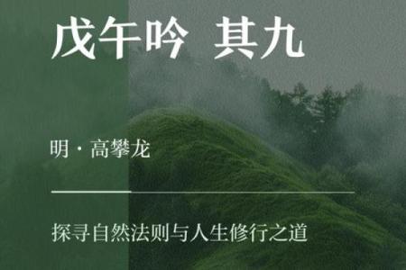 探索风水命理学的奥秘：自然与人生的和谐之道