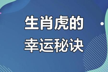 虎年子时出生的人命运解析：从生肖看人生风貌与运势