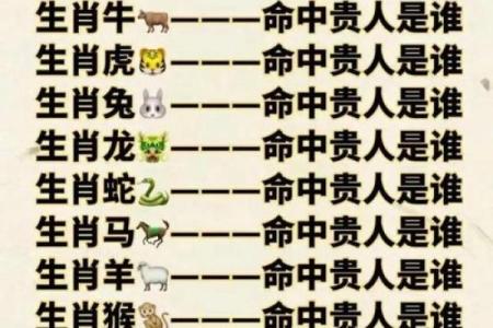 金蛇命与属相之缘：最佳搭配与人生指南