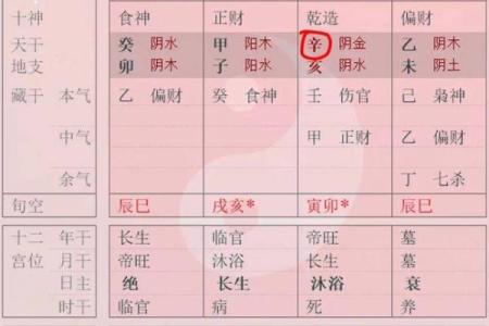 张姓男孩命运分析：五行与性格之关系